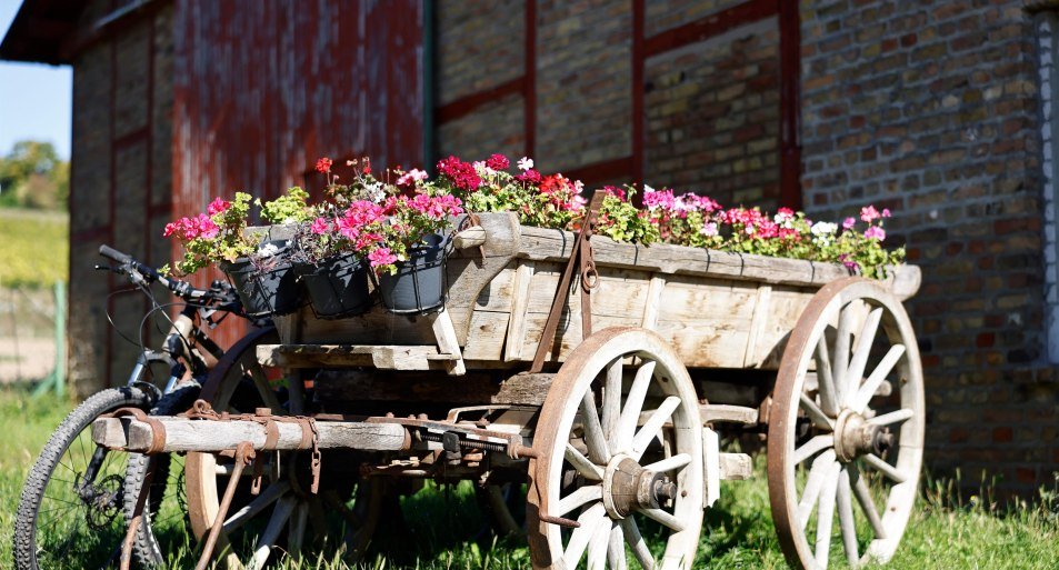 Wacholderhof II | &copy; Marc Nebel