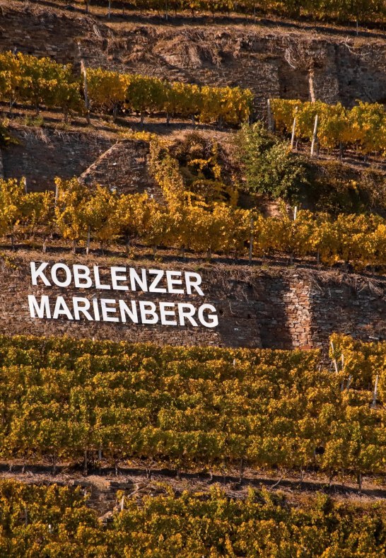 Koblenzer Marienberg | © Weingut Schwaab Koblenzer Marienberg | © Weingut Schwaab