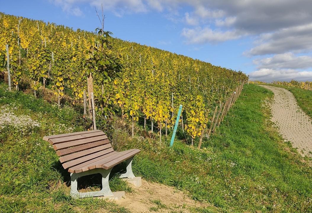 Rauenthal