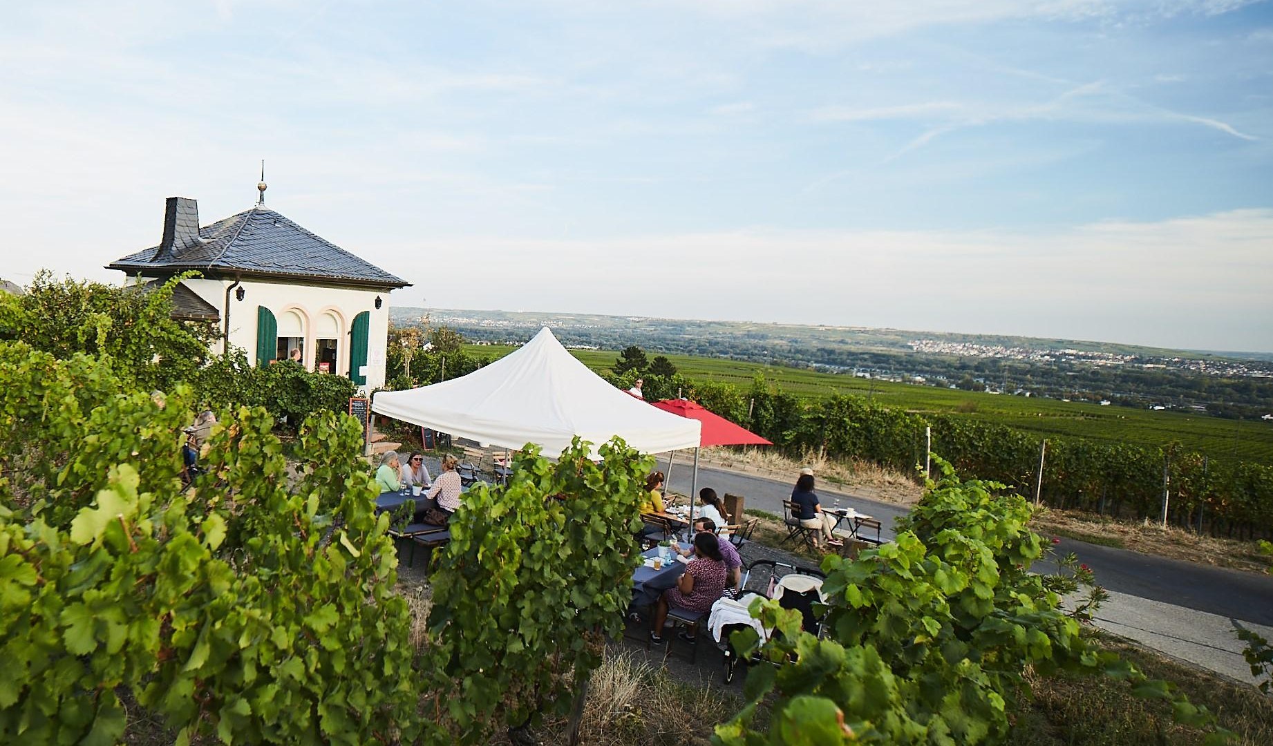 Gartenhaus Bibo Runge | &copy; REVOLUZZER Gartenhaus