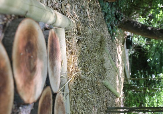 Barfu&szlig;pfad 2 | &copy; GGB Lahnstein