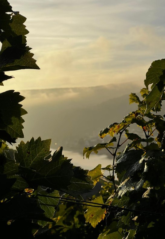 WhatsApp Bild 2023-10-02 um 08.45.17_0ce223bc | &copy; Fam.Lorenz