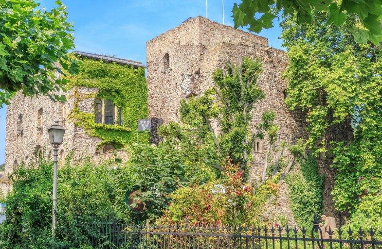 Br&ouml;mser Burg im Fr&uuml;hjahr | &copy; Marlis Steinmetz