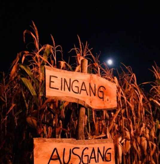 Night Walk | &copy; M. Heckel