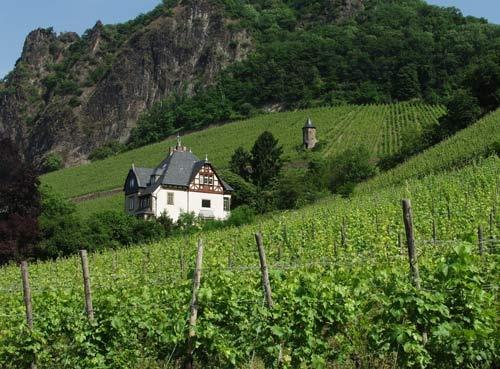Weinberge bei Rh&ouml;ndorf | &copy; Familie Leven
