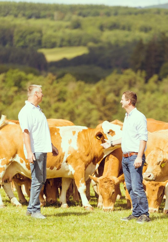 Hof Stahl | © Hof Stahl Hof Stahl | © Hof Stahl