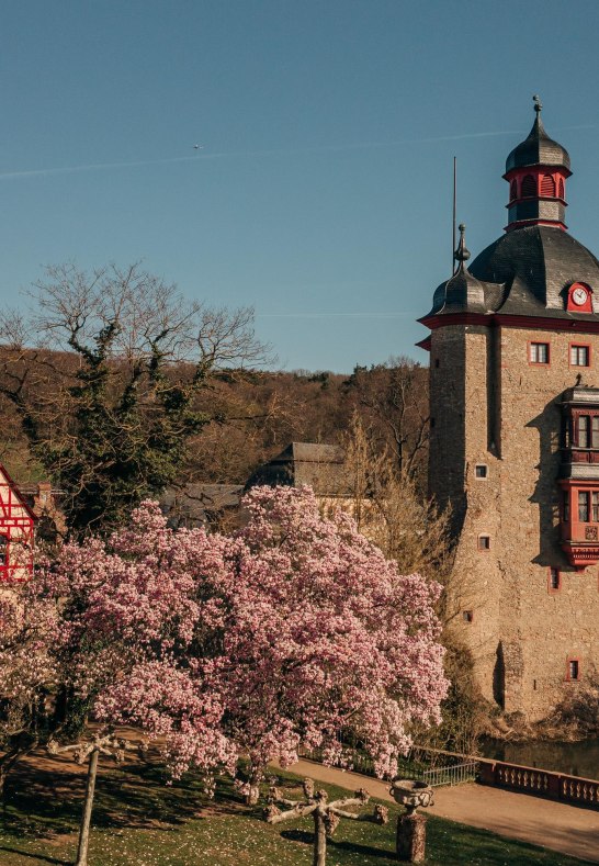 Schloss Vollrads Schlossturm | © Schloss Vollrads Schloss Vollrads Schlossturm | © Schloss Vollrads