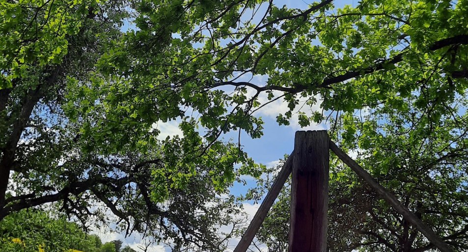 am Erzweg | © J. Gödert am Erzweg | © J. Gödert