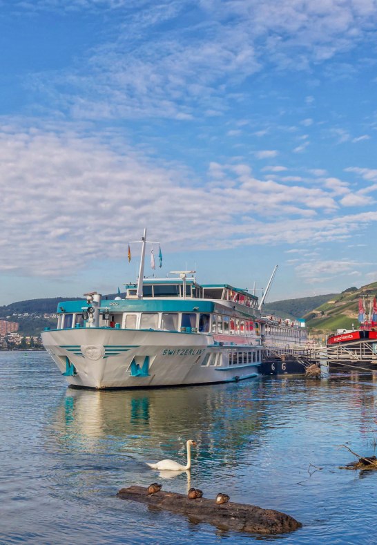 Hafenpark Rüd 2 | © Rheingau- Taunus Kultur und Tourismus GmbH