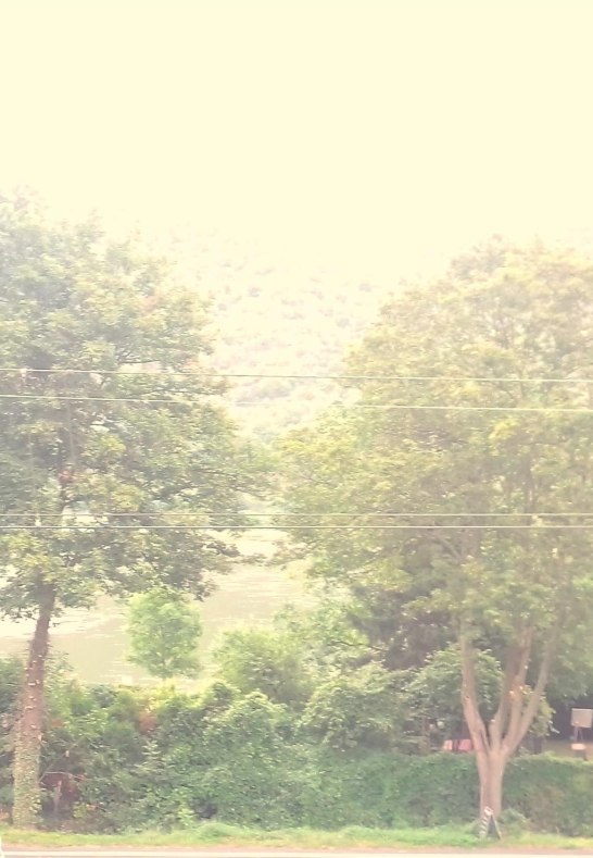 Rheinblick | &copy; Kleines Brauhaus