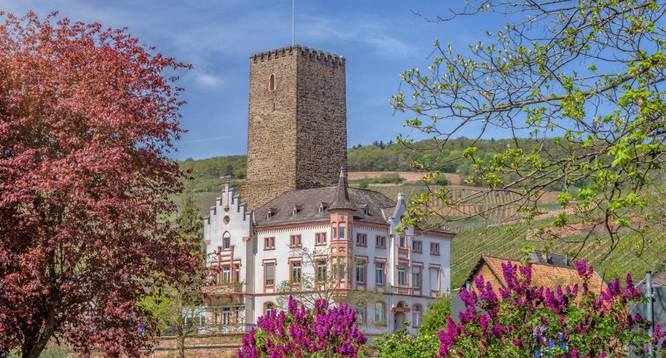 Boosenburg | © Rüdesheim Tourist AG - Marlis Steinmetz Boosenburg | © Rüdesheim Tourist AG - Marlis Steinmetz