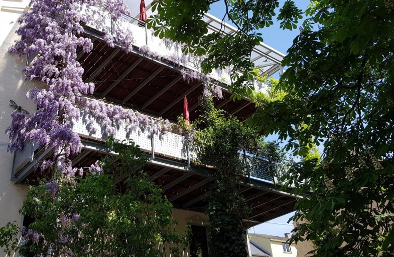 20190422_125835 | © C. Edrich