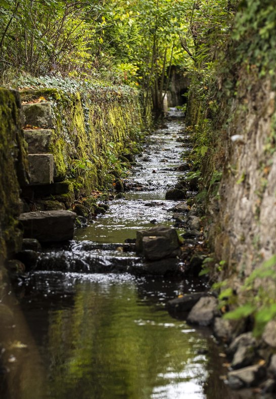 Kisselbach | © Sven Moschitz Kisselbach | © Sven Moschitz