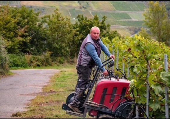 Raupe-Andre | &copy; A. Sopper, Dellhofen