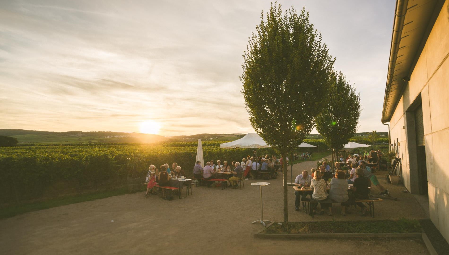 Außenansicht Straußwirtschaft | © Weingut Dillmann Außenansicht Straußwirtschaft | © Weingut Dillmann