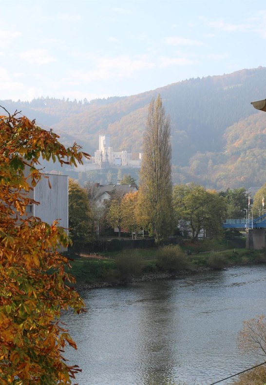 IMG_0529 | &copy; C. Edrich