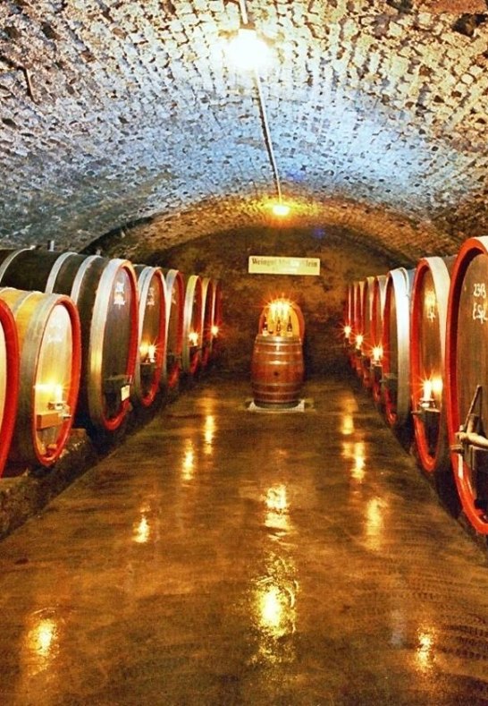 Weingut Martin Klein Weinkeller | © Weingut Martin Klein
