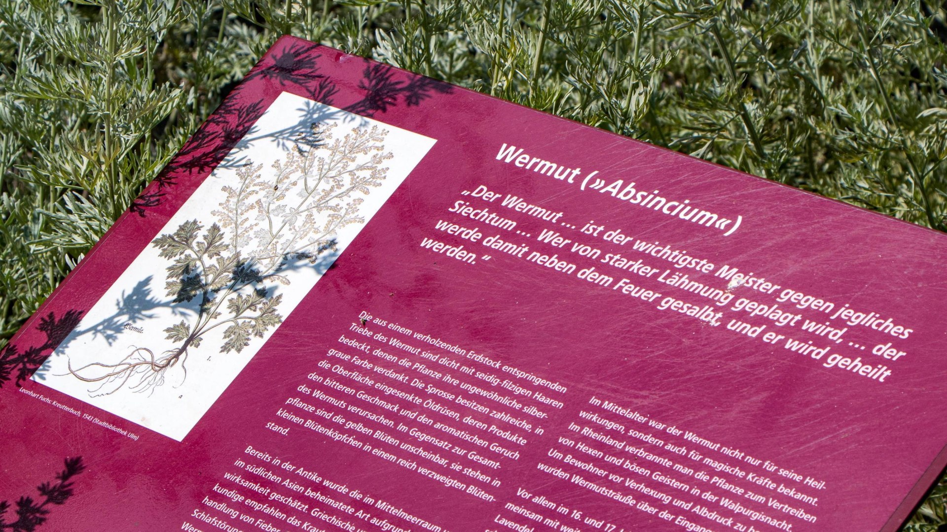 Hildegarten am Msuem am Strom | © Rheinhessen-Touristik Hildegarten am Msuem am Strom | © Rheinhessen-Touristik