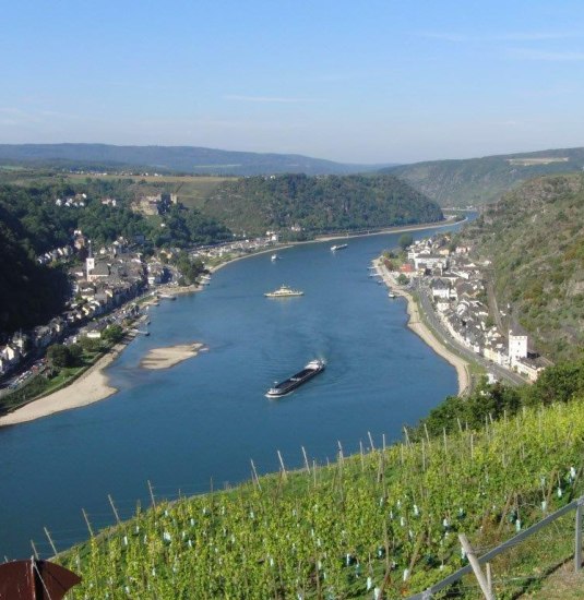 Weinterrassen-Wanderung_01 | &copy; Friedel Becker