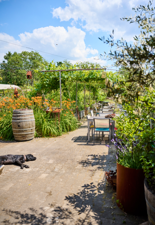 Garten Genussgarten | © Genussgarten Garten Genussgarten | © Genussgarten