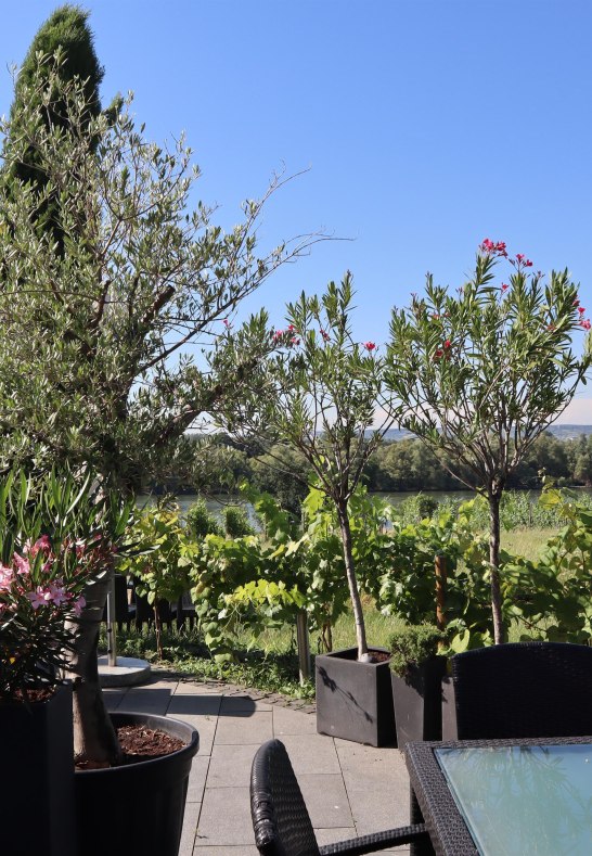 Auszeit auf der Sonnenterrasse | &copy; Michael Statzner