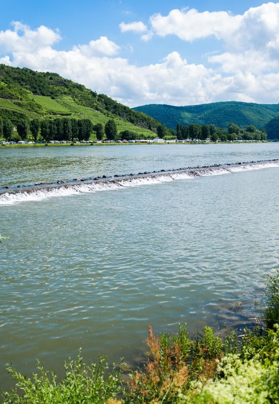 Blick von Osterspai auf Campingplatz | &copy; Henry Tornow/Romantischer Rhein Tourismus GmbH