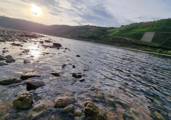 Rhein | © Ulrike Dallmann Rhein | © Ulrike Dallmann