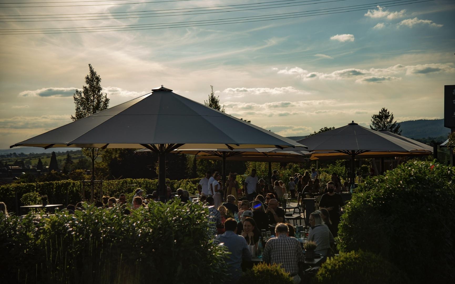 Weingut Hirt Gebhardt | © Weingut Hirt Gebhardt Weingut Hirt Gebhardt | © Weingut Hirt Gebhardt