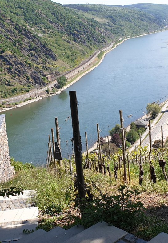 7-Jungfrauen-Blick 4 | &copy; Tourist-Information Oberwesel