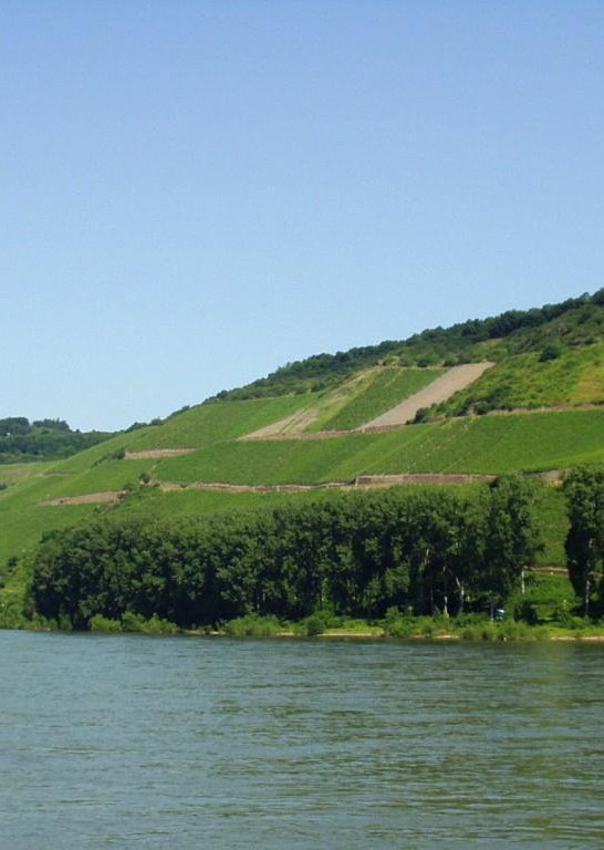 Bopparder Hamm | &copy; Petra Winkler-Tourist Information Boppard