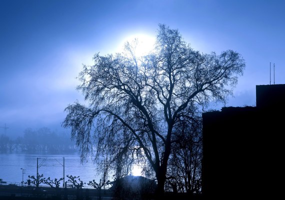 Br&ouml;mserburg at night | &copy; Marlis Steinmetz