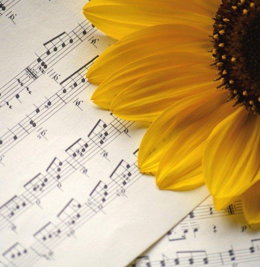 Konzert | &copy; Pixabay