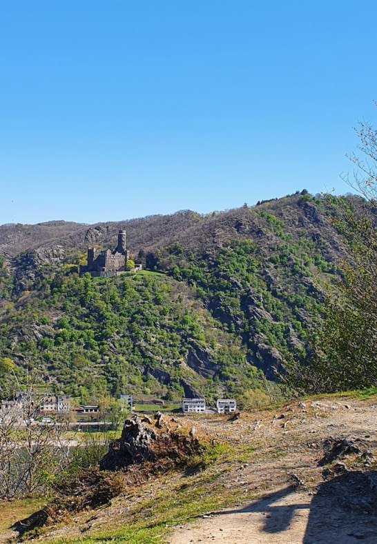 Ruhebank am Hartenberg | &copy; T. Biersch