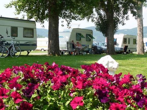 Campingpark Sonneneeck | © Campingplatz Sonneneck Campingpark Sonneneeck | © Campingplatz Sonneneck