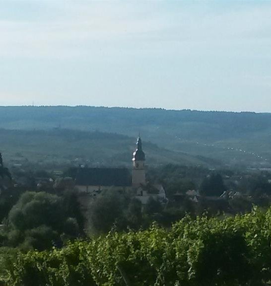 Ockenheim | &copy; Krick