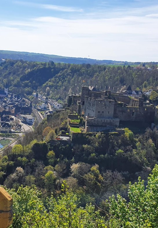 Rheinfelsblick 6 | &copy; T. Biersch