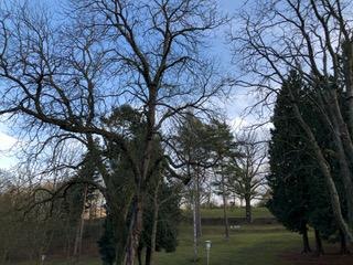 Park | &copy; Tourist Information Boppard