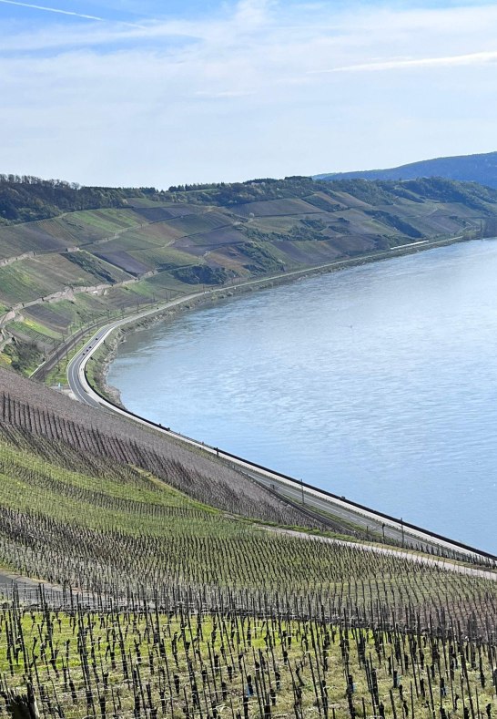 WhatsApp Image 2023-04-24 at 16.53.39 (1) | &copy; Fam.Lorenz