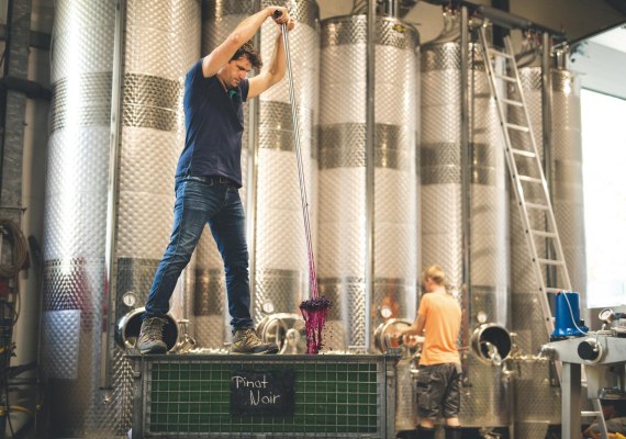 Weingut Trenz | © Weingut Trenz_Filmagentur Rheingau Weingut Trenz | © Weingut Trenz_Filmagentur Rheingau