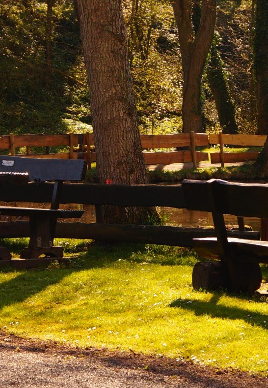 Sitzb&auml;nke | &copy; Tourist-Information Erlebnis Rheinbogen
