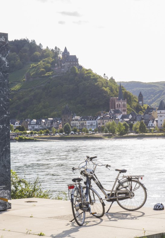 Genussradeln am Rhein