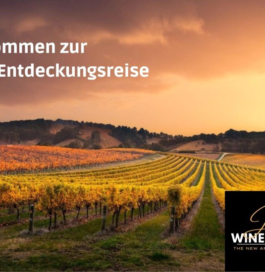 Jana's Winehouse | © Jana's Winehouse Jana's Winehouse | © Jana's Winehouse