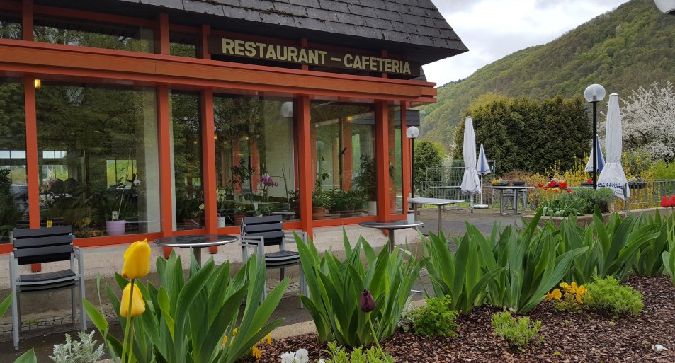 Restaurant am Hallenbad | © Restaurant am Hallenbad Restaurant am Hallenbad | © Restaurant am Hallenbad
