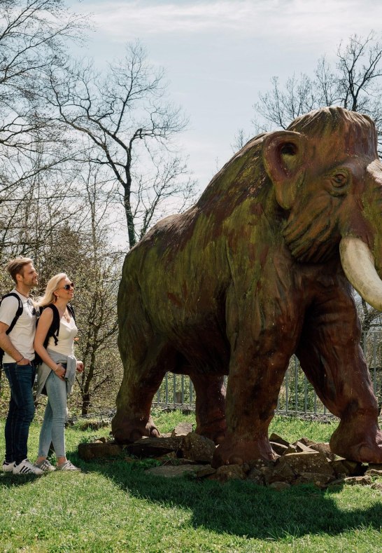 Mammut Max bei Monrepos | © Zimpfer_Photography Mammut Max bei Monrepos | © Zimpfer_Photography