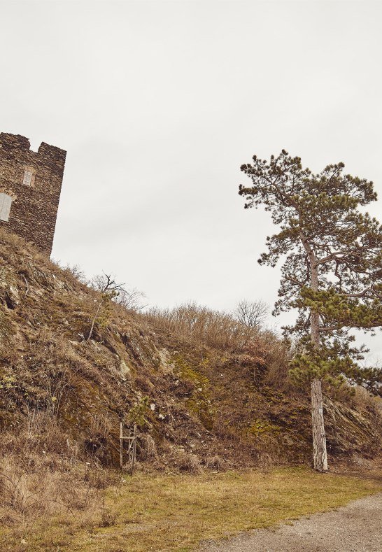Wanderer an der Ruine Nollig | &copy; Marco Rothbrust