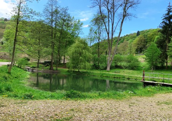 Weiher Marienberger Park | &copy; Tourist Information Boppard