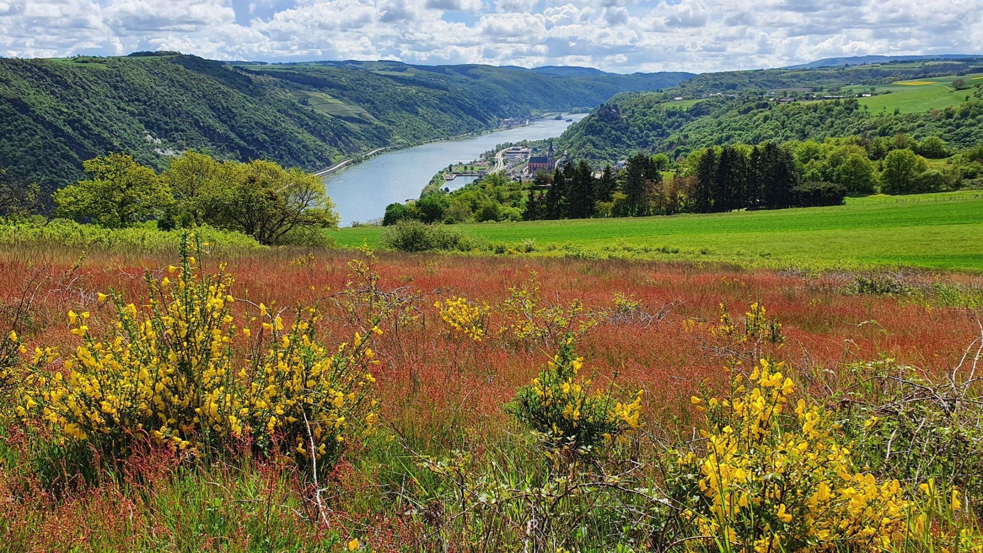 Niederburger Heide Blick Oberwesel | © TI Hunsrück-Mittelrhein Niederburger Heide Blick Oberwesel | © TI Hunsrück-Mittelrhein
