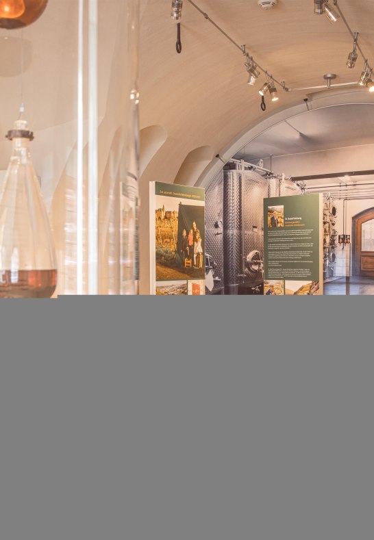 Ausstellung WeinReich im Landesmuseum Koblenz | © GDKE, Johannes Bruchhof Ausstellung WeinReich im Landesmuseum Koblenz | © GDKE, Johannes Bruchhof