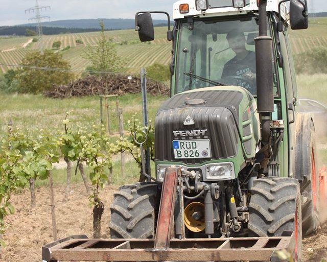Au&szlig;enbetrieb Einsaat | &copy; Weingut Hans Bausch
