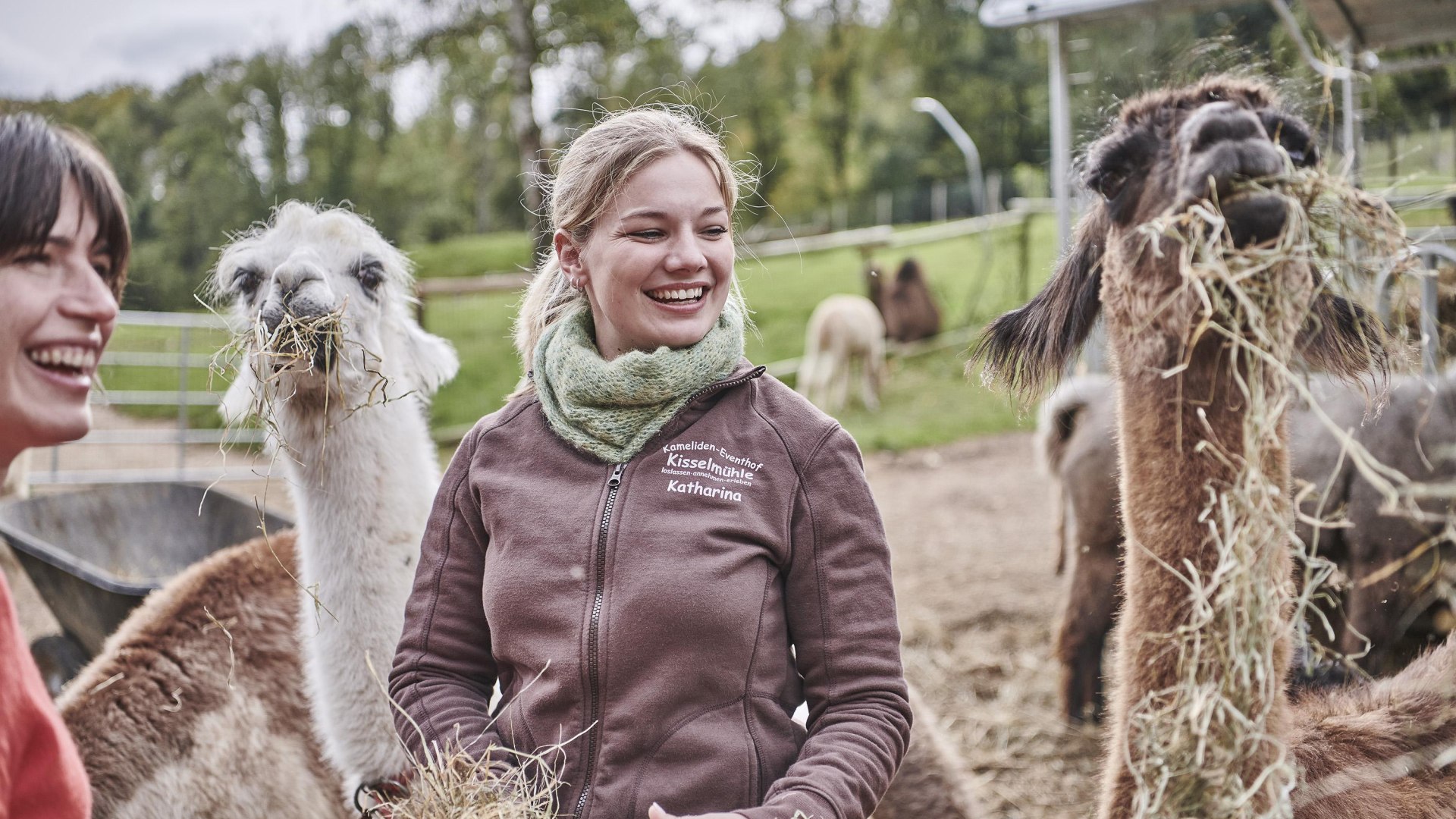 Fütterung Lamas und Alpakas | © HA Hessen Tourismus, Roman Knie Fütterung Lamas und Alpakas | © HA Hessen Tourismus, Roman Knie